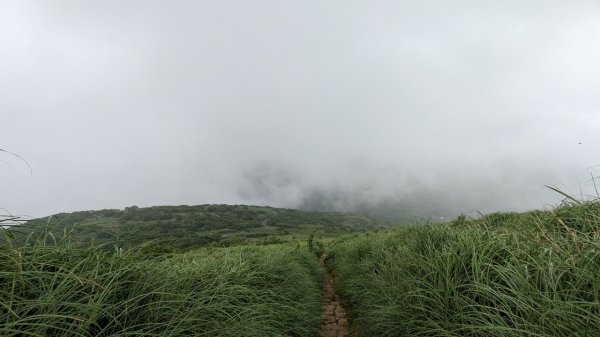 112.06.04走遍陽明山尋寶任務之大屯山2173567