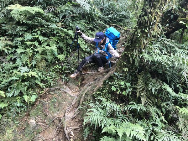 山天山夜山露營#1 松蘿湖登山步道323331