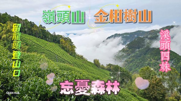 【嶺頭山、金柑樹山、忘憂森林】溪頭四姝、#小百岳54、留龍頭O繞夢幻忘憂森林