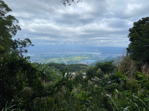 陽明山：面天山 - 向天山步道2441847