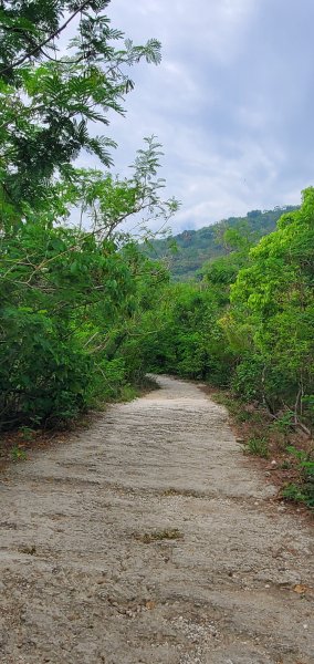 2024-05-18北柴山登山步道2507869