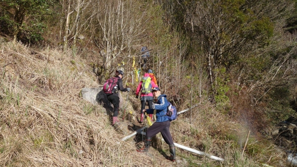 雲端上的羅馬假期 33747