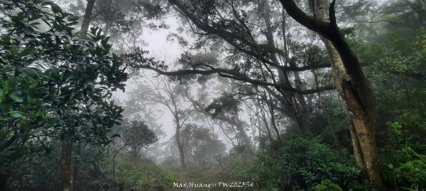 《苗栗》霧雨寒流｜三義三角山步道202512252969226