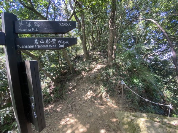 2025微笑山線大縱走尋寶集章任務-Ep.03【鳶山山系】鳶山彩壁段2893698