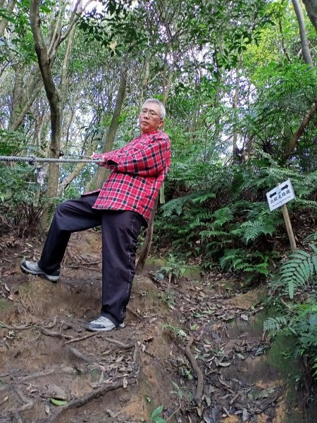【臺北大縱走 4】大崙頭山北面步道1249612