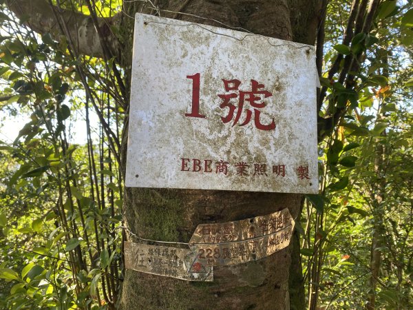 2025微笑山線大縱走尋寶集章任務-Ep.08【二格山系】筆架連峰段｜二格山 × 筆架山北峰2921632