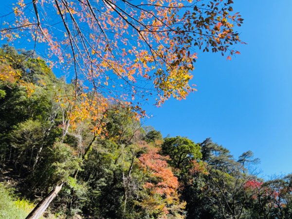 1101208霞喀羅古道/石鹿-養老1543424