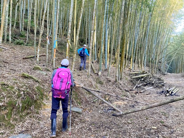 過坑山南峰連走過坑山(再登)1236653