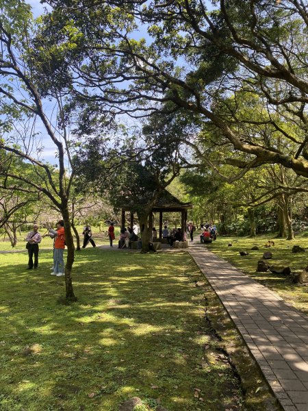 如墨暈染的春日邂逅｜中山樓墨染櫻 × 北投步道探花記2853896