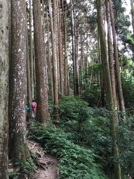 加里山鹿野線461343