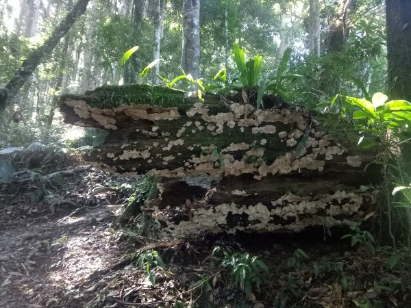 高島縱走1887810