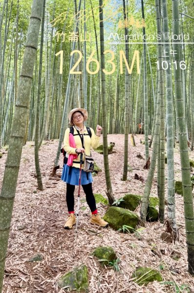 溪頭四秀走溪頭森林遊樂區3088855