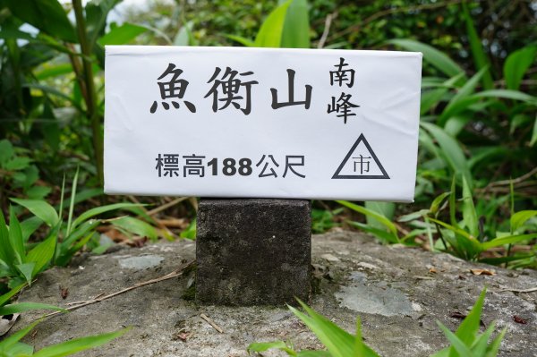 臺北 文山 指南山、猴山岳、魚衡山、大前坑山、猴山坑山、祥光寺後山、金頭山2774993