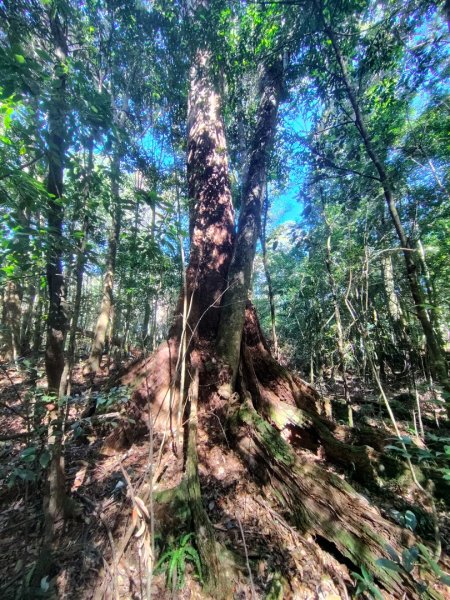 南東眼山連走有勝山2918736