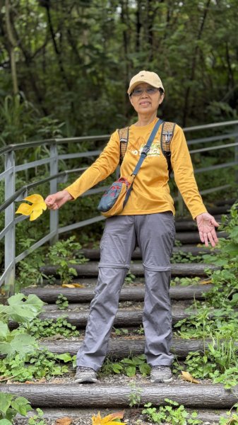 多元化的文山森林公園|天空步道|趣探險之丘|峯花雪月2834945