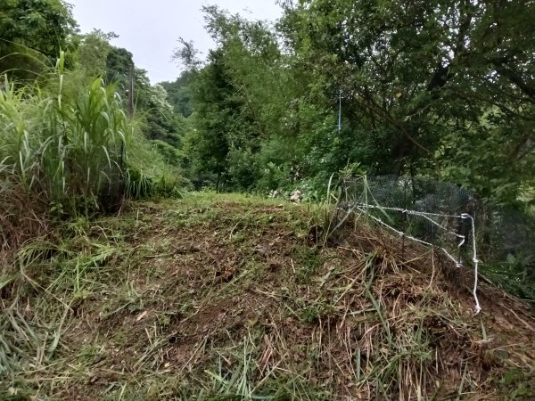 雙溪區平水+外柑腳山去回2784058