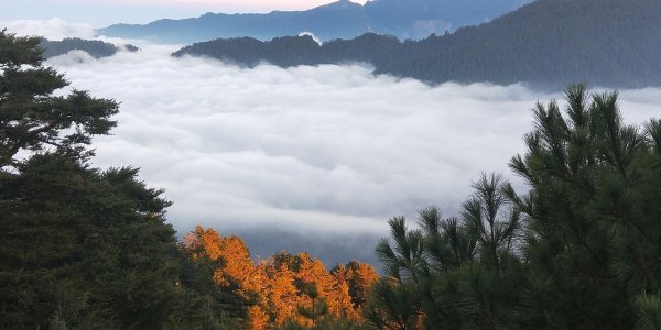 重磅挑戰-大霸北稜線1433839