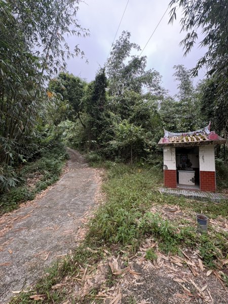 20251108西阿里關山步道(小林村東側登山口啟登)2933479