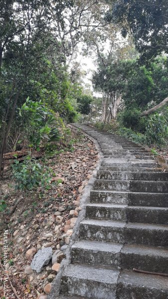 《彰化》登山市集｜員林臥龍坡環藤山步道202312162380608