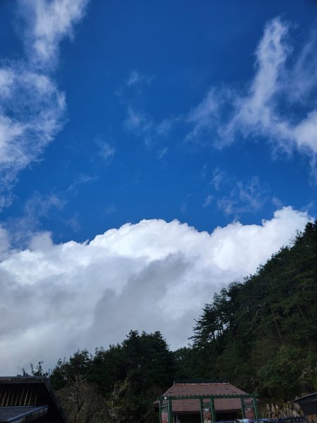 20260301鹿林山麟趾山3013008