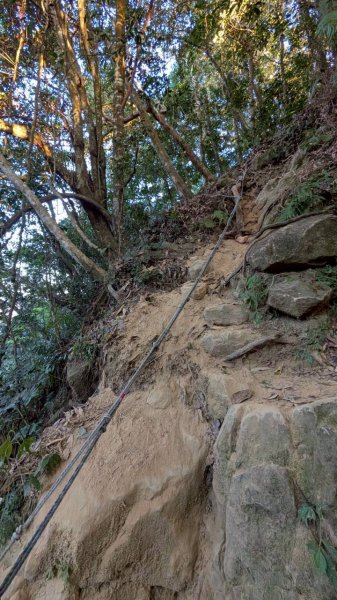 大橫屏山步道2977344