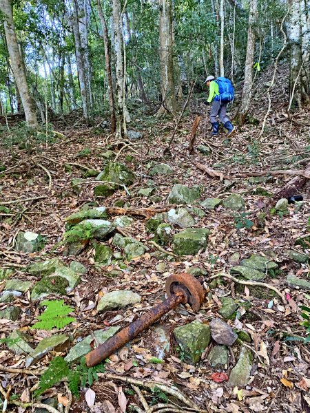 八仙山駐在所、東八仙山、八仙山O型走  1133162