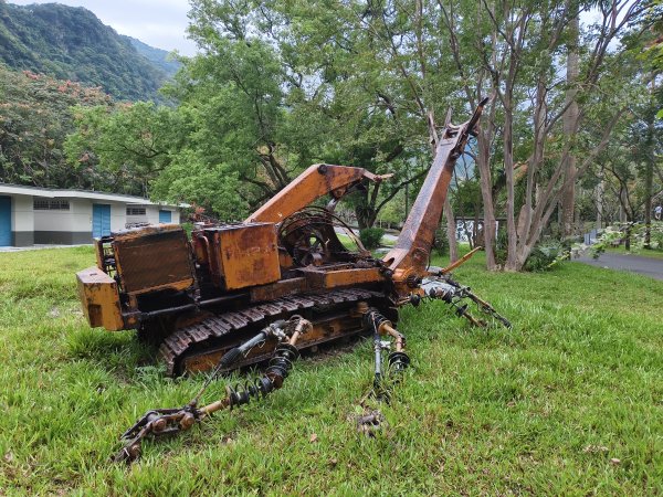 [漫遊縱谷 愛在花東-08/10] 2025_1012 林田山林業文化園區步道2913512
