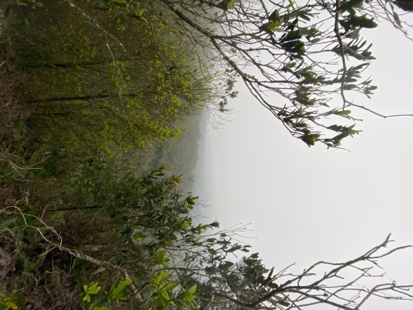 苗栗三義-三員縱走2616450