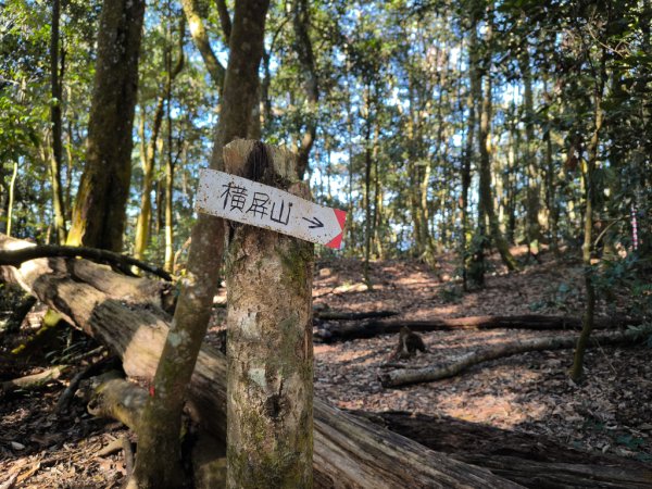 2025-12-21 武界山、獅凸魯山、橫屏山、橫屏山西峰2969689