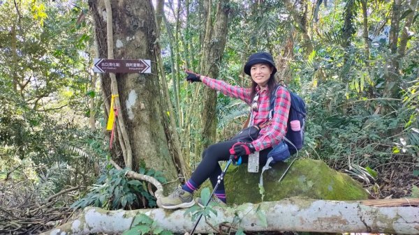 🌈2/15（六）白雲山+西阿里關山小百岳🌈FB：熊熊趴爬走 歡迎加入2714918
