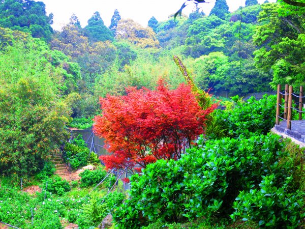 2021在陽明山 芋見幸福1344008