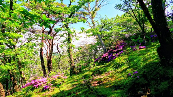 南九州－韓國岳,白鳥山3063934