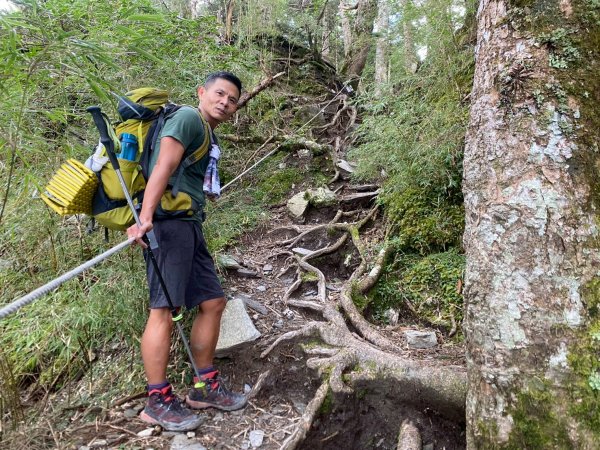 奇萊主峰.奇萊北峰【登山 千萬別高估自己】2910794