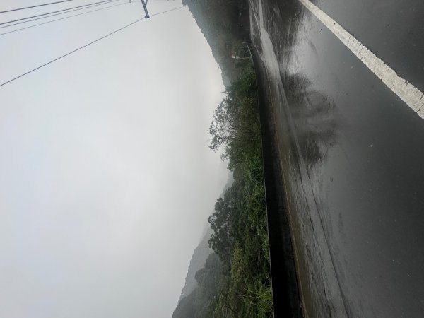 2024草嶺古道芒花季草嶺古道2644786