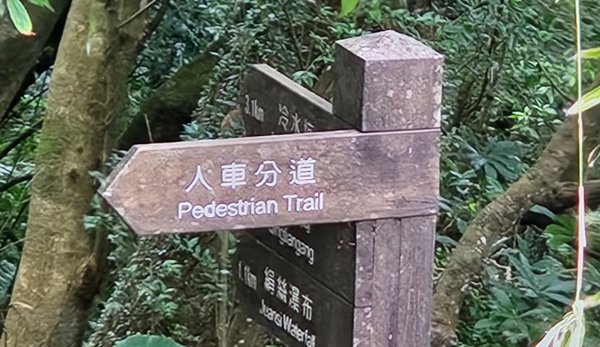 皇帝殿，獅公髻尾山，指南宮千階步道（竹柏參道），十六分山，貓空尖，絹絲瀑布步道2394560