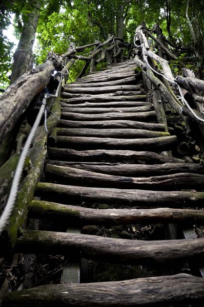 大坑1號步道2865256