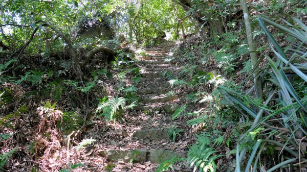 水磨坑古道,竹林古道2561785