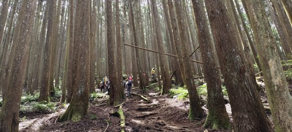 2025/06/22_民都有山登山步道2818030