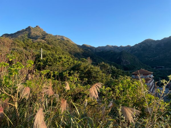 上茶壺山賞芒花2662120