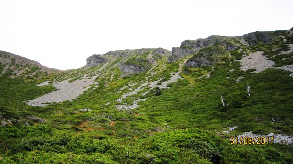 單攻 雪山主東峰 - 不錯的體能進階測試 !封面