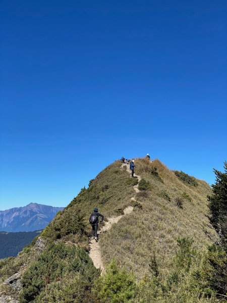 單攻畢祿山2400750