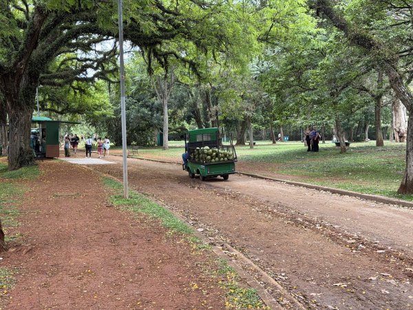 [紐約馬之行-69] 2025_1116 伊比拉布埃拉公園-下2955178