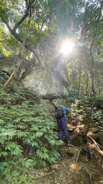 尖石🌳羅山林道野營-油羅山-竹苗小百岳3133062