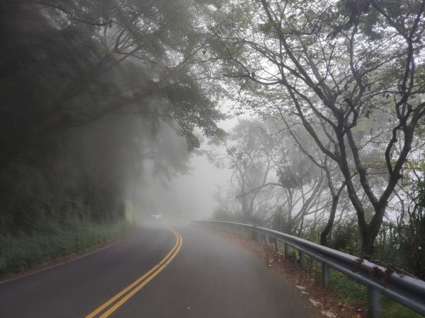 1140830特富野古道3099981