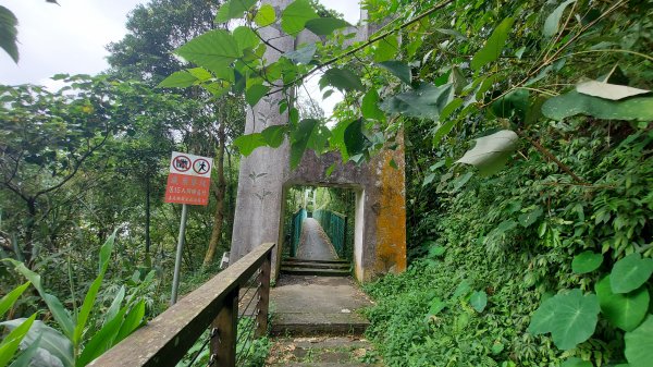 雲嘉九連峰1438997