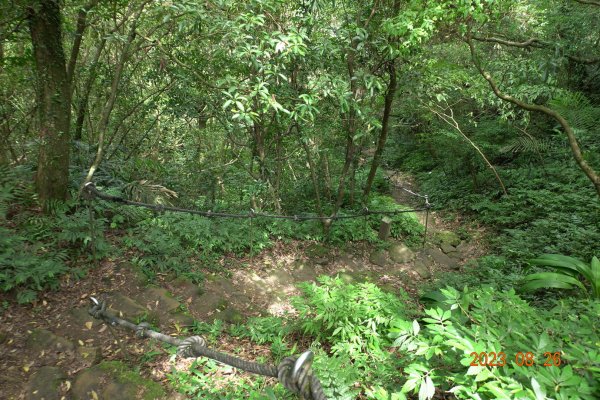 基隆 頂寮山、龍門山、五分山、頂子寮山2265964