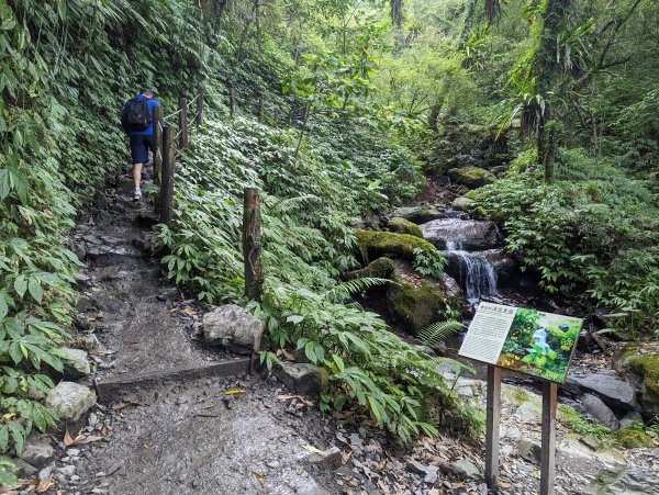 聖母登山步道（抹茶山）。三角崙山(小百岳)。巴唐古道1800604