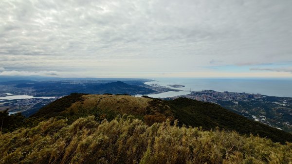 20260125 陽明山前後山健行(無極天元宮~山仔頂步道.向天池.向天山.面天山.二子坪)2998033