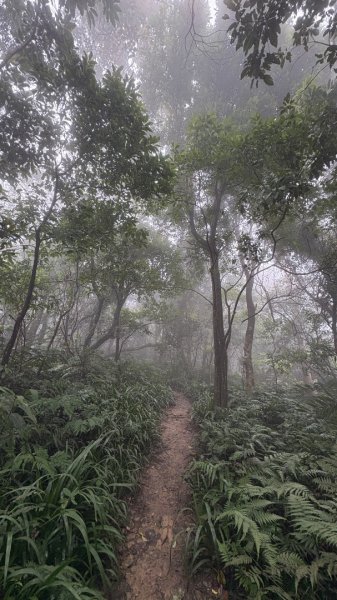 太、清、石2994663