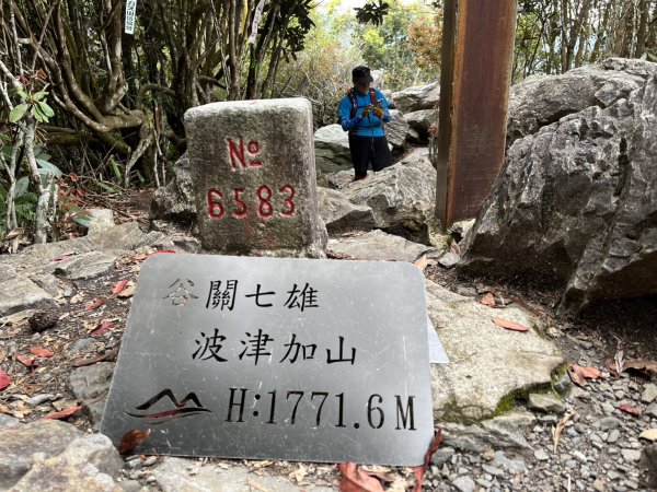 台中 和平 波津加山2761889